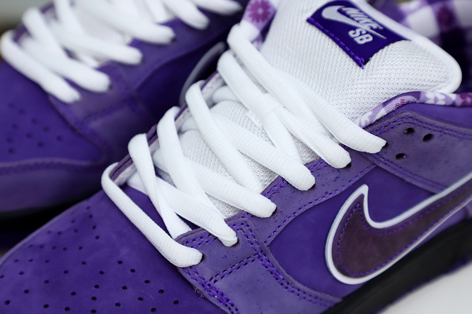 Concepts x Nike SB Dunk Low Pro OG QS Purple Lobster