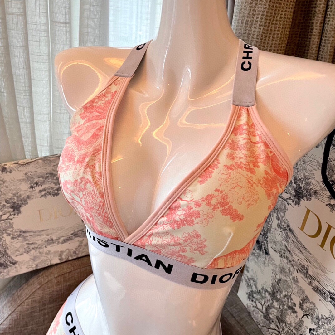Dior split bikini swimming costume