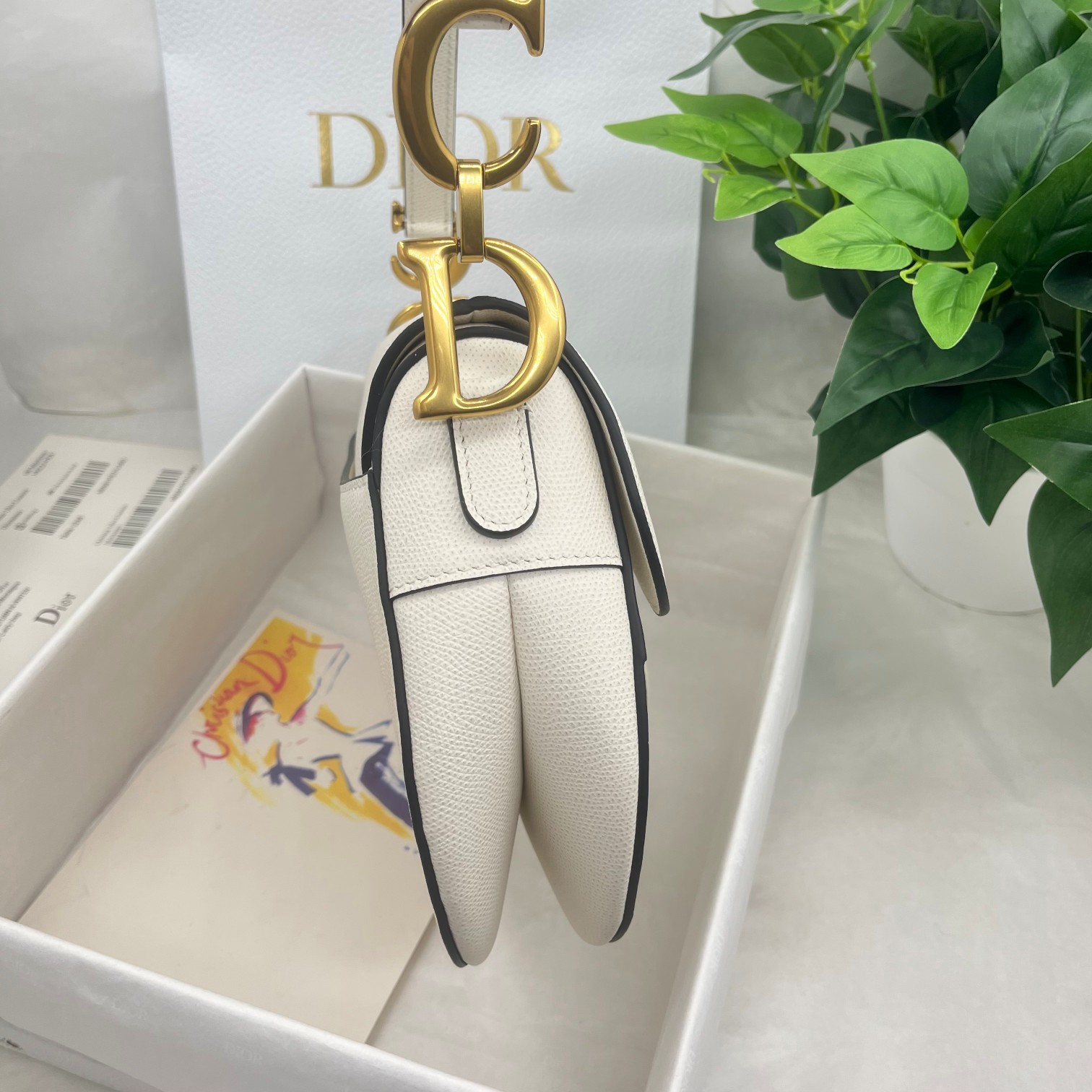 Dior saddle palm print collection