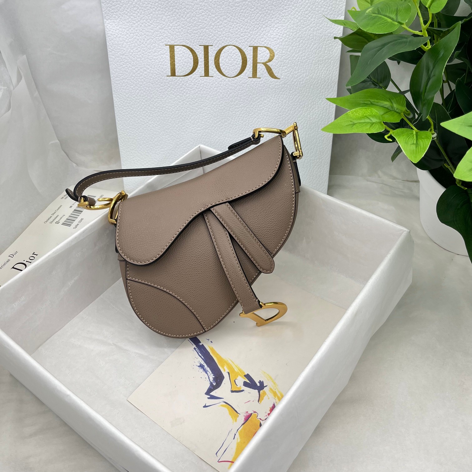 Dior saddle palm print collection