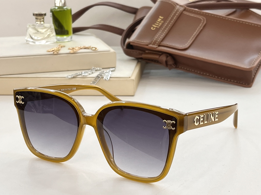 celine with glasses phone pouch