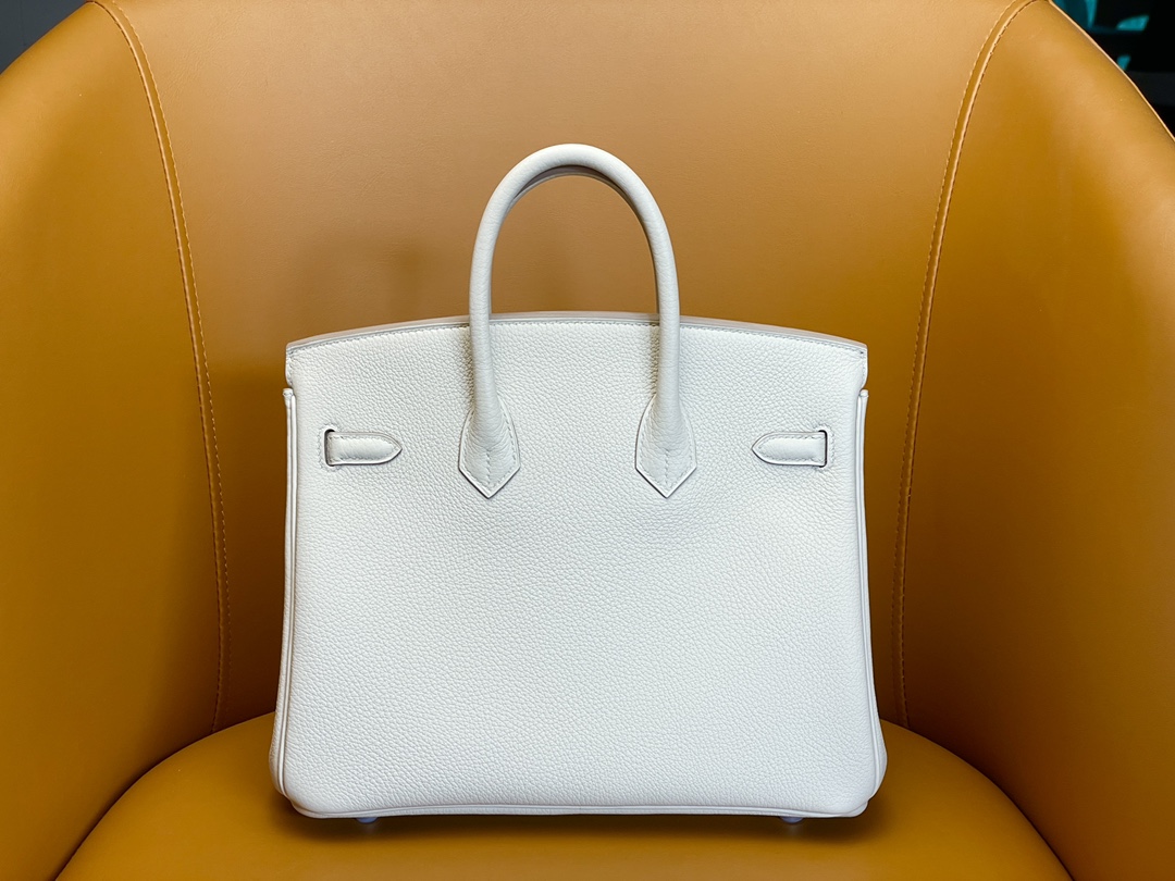 Birkin 25 Glacier White Togo Skin Rose Gold Buckle
