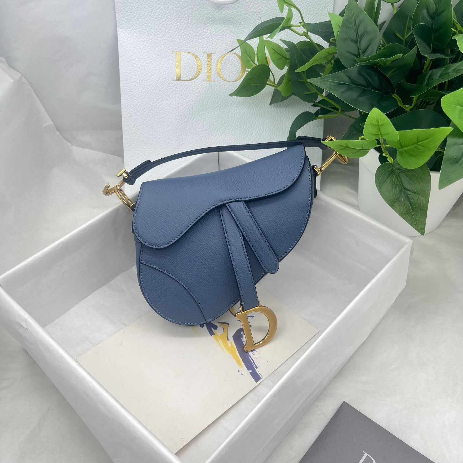 Dior saddle ball print collection