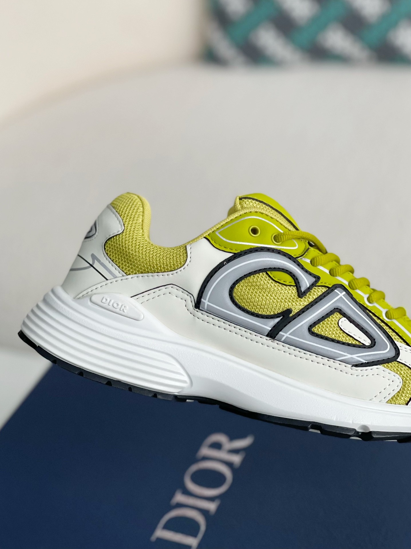 Dior B30 New Sneaker