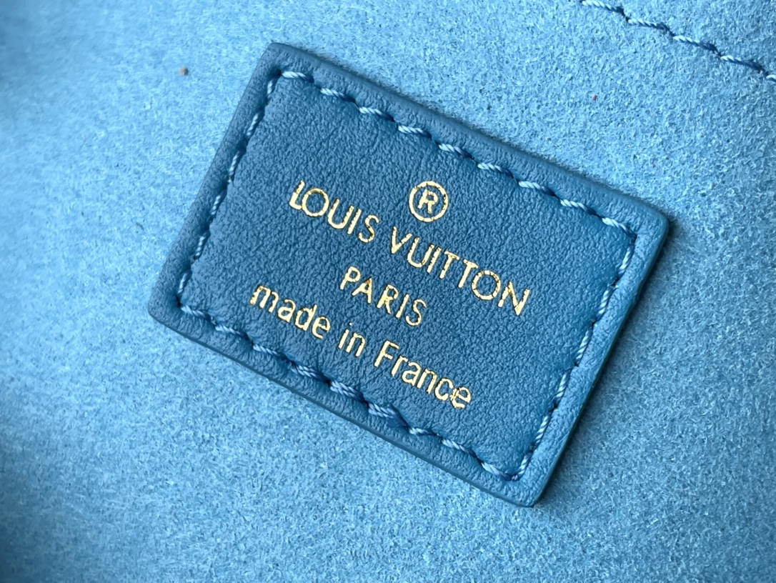 𝐋𝐎𝐔𝐈𝐒 𝐕𝐔𝐈𝐓𝐓𝐎𝐍    M22596