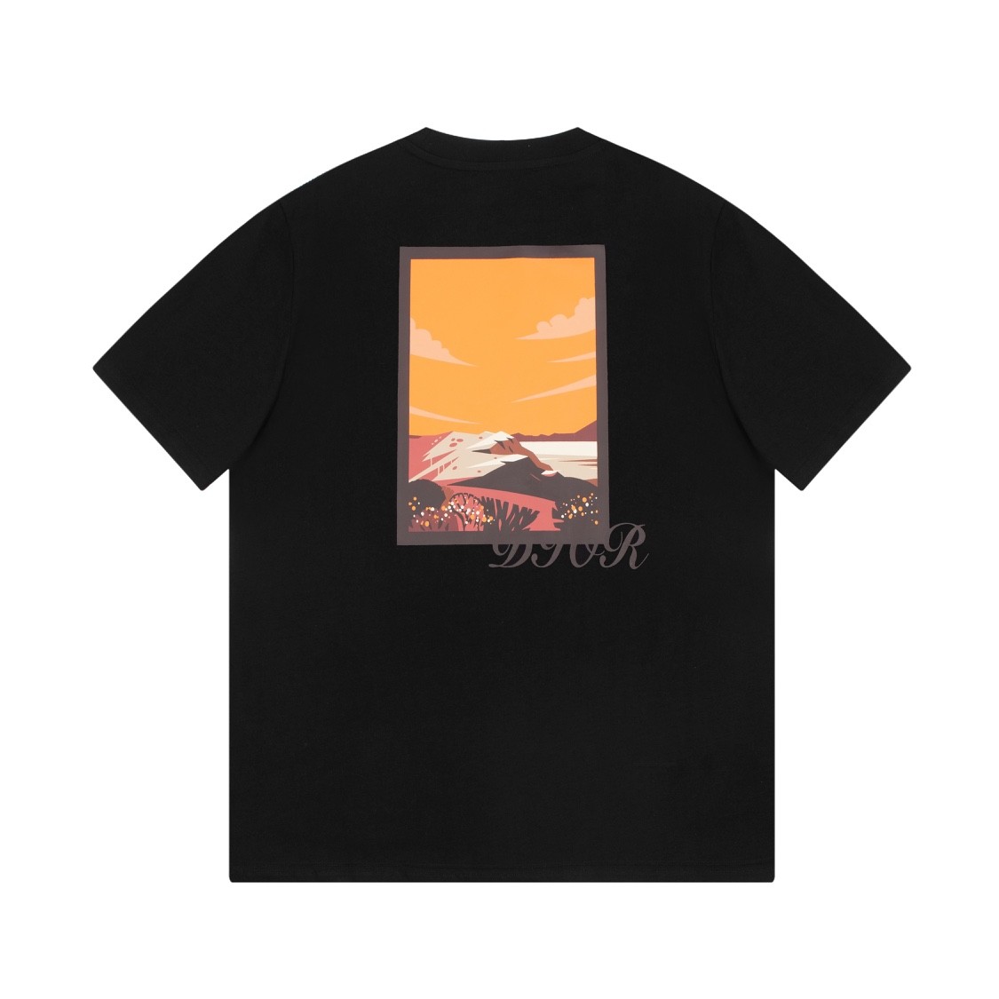 Dior 23FW spring/summer classic T-shirt