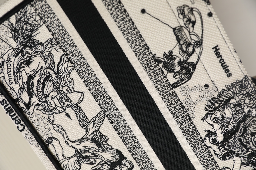 DIOR TOTE new constellation embroidery