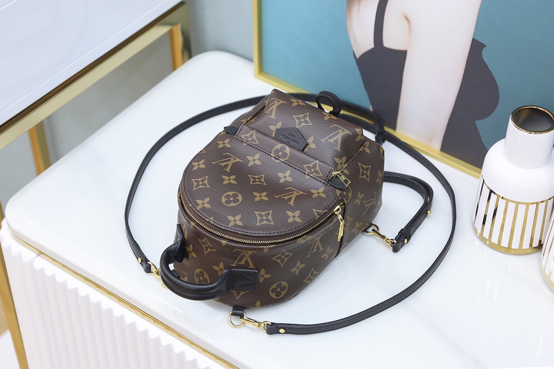 Louis Vuitton 𝐏𝐀𝐋𝐌 𝐒𝐏𝐑𝐈𝐍𝐆𝐒mini backpack🎒M44873