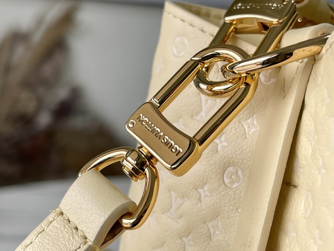 𝐋𝐎𝐔𝐈𝐒 𝐕𝐔𝐈𝐓𝐓𝐎𝐍     M22599