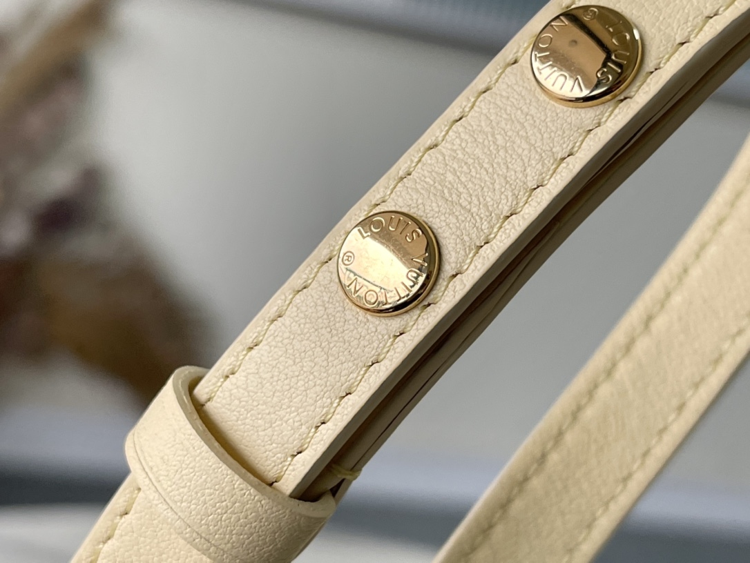 𝐋𝐎𝐔𝐈𝐒 𝐕𝐔𝐈𝐓𝐓𝐎𝐍     M22599