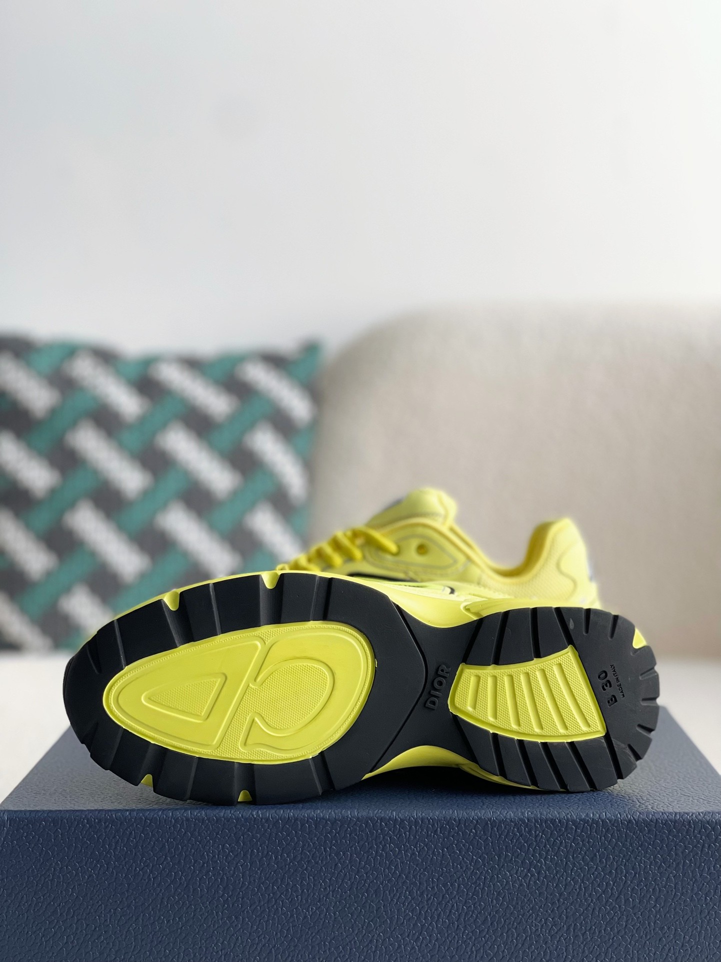 Dior B30 New Sneaker