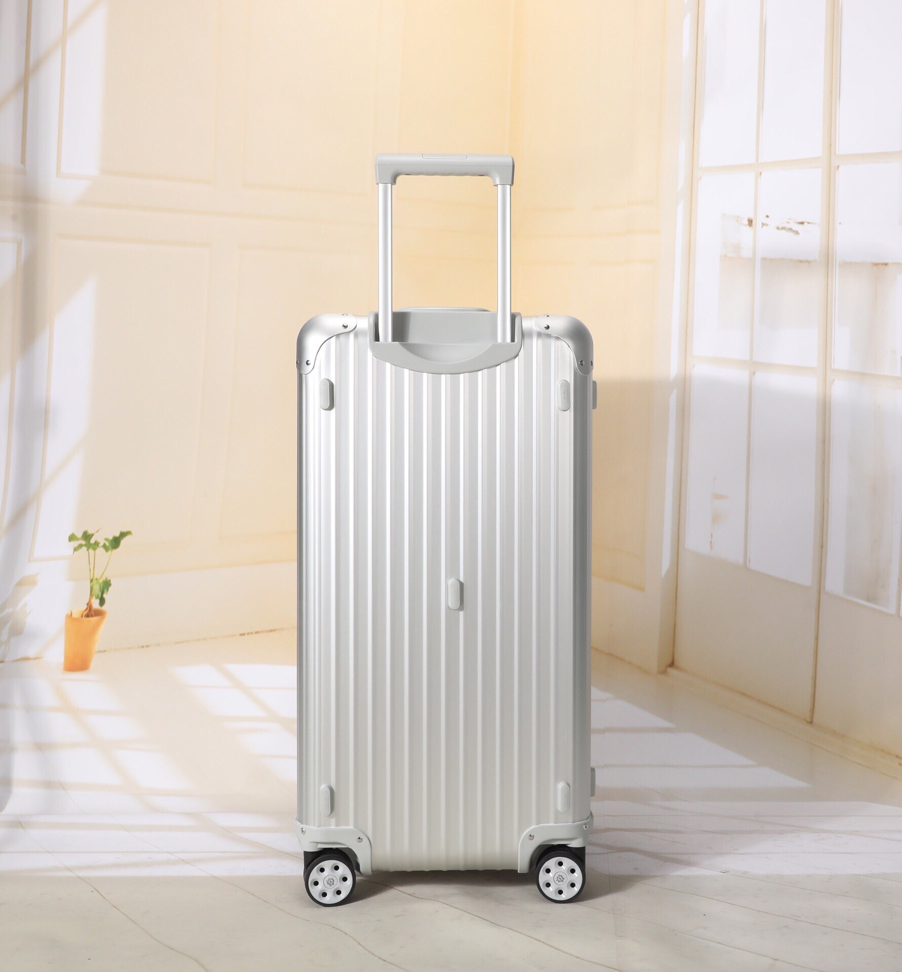 Rimowa Luggage