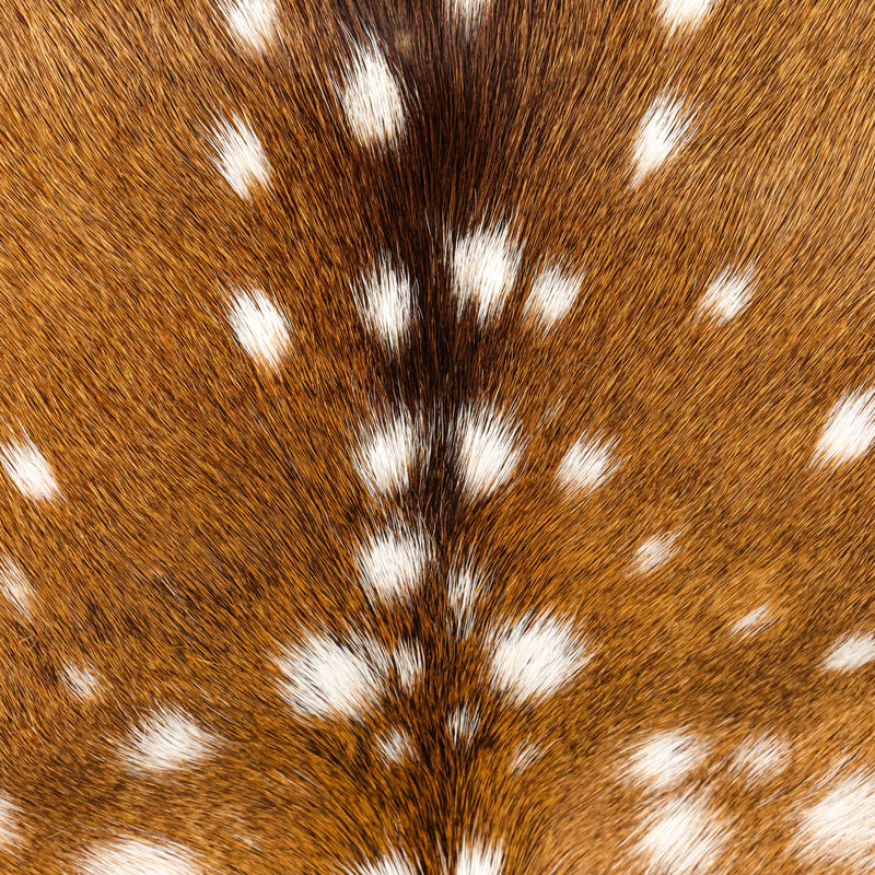 Axis Hobo Shoulder Bag