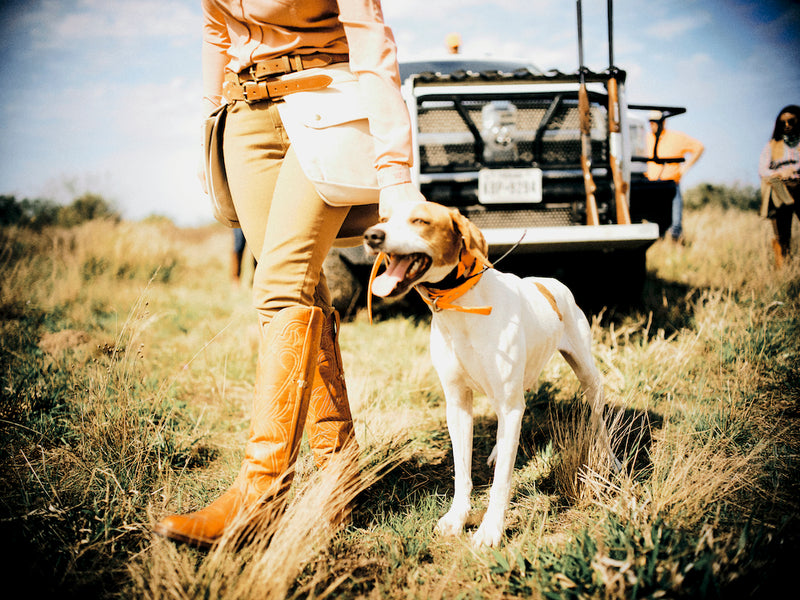 Ladies High Top Snake Boot King Ranch? Edition