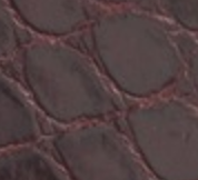 Envelope Card Case 每 Alligator