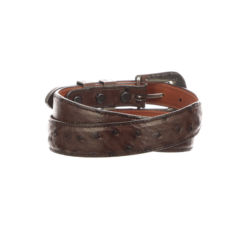 Full Quill Ostrich Tapered