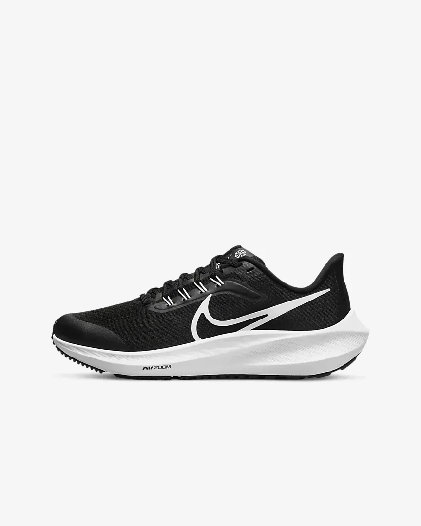 Nike Air Zoom Pegasus 39