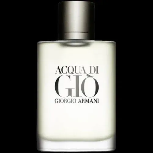 Acqua Di Gio Eau De Toilette Armani 100ml