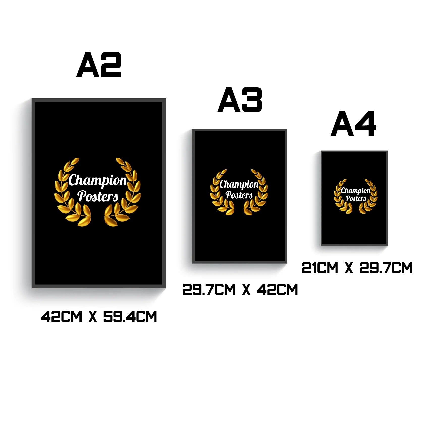 Porsche 718 GT4 RS Stats Poster Black