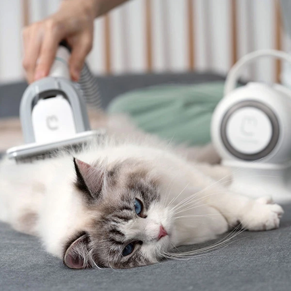 Kit de aspiración profesional para peluquería canina