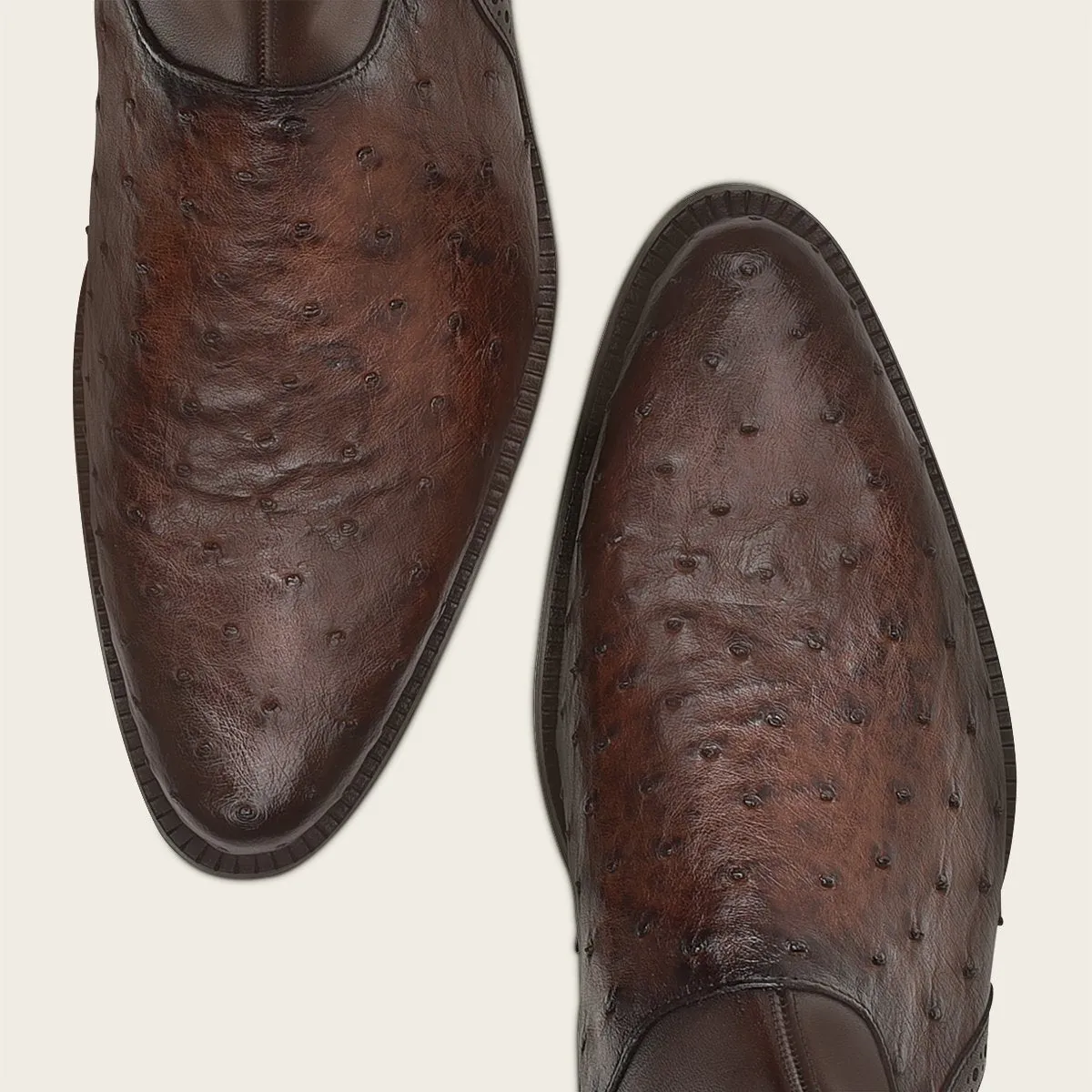 Bota de vestir en piel genuina de avestruz.