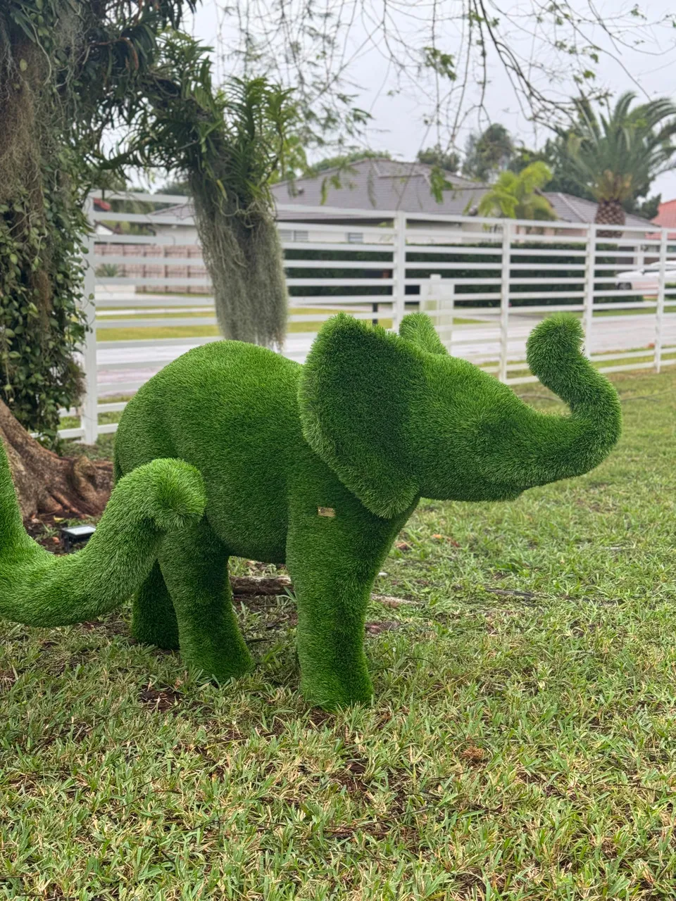 Small Elephant