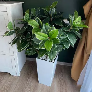 Indoor Artificial Plant( With Flower Pots)
