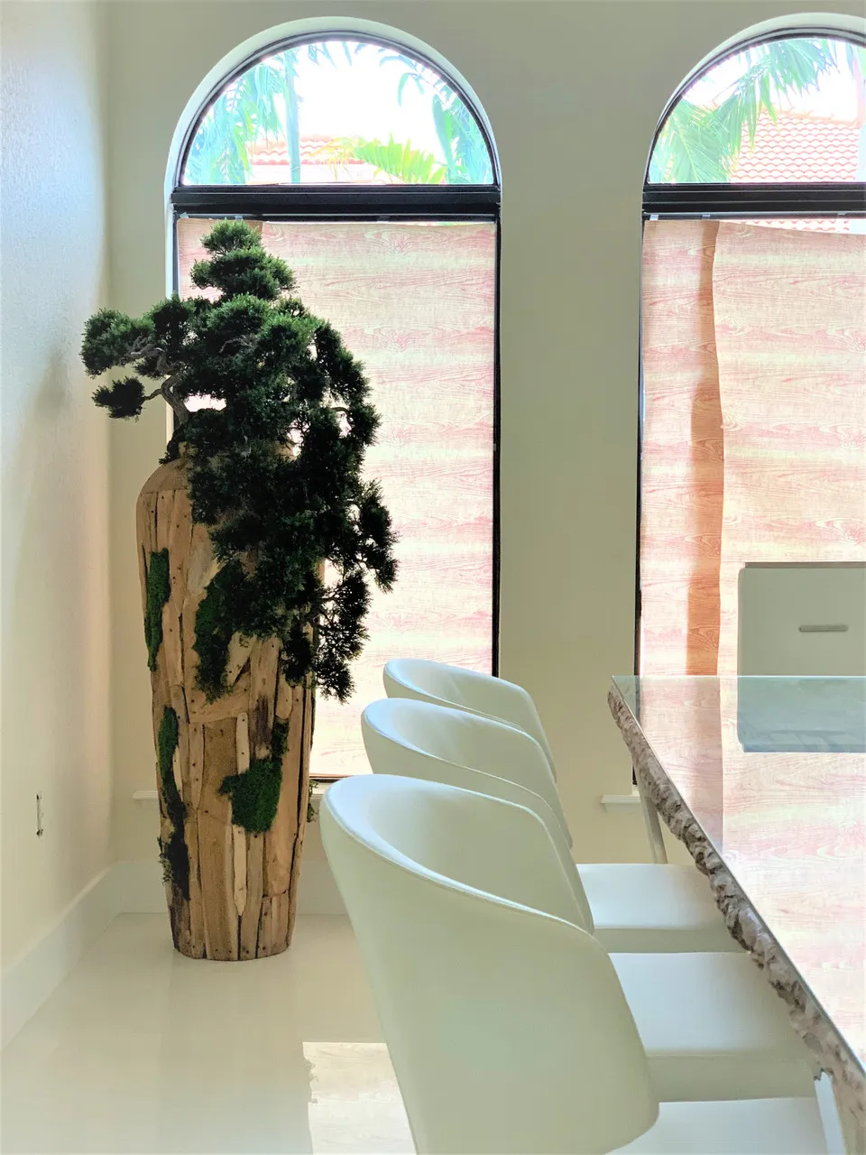 Extra Large Trailing Cedar Bonsai on One-of-a-Kind Teak Planter ( With Flower Pots)