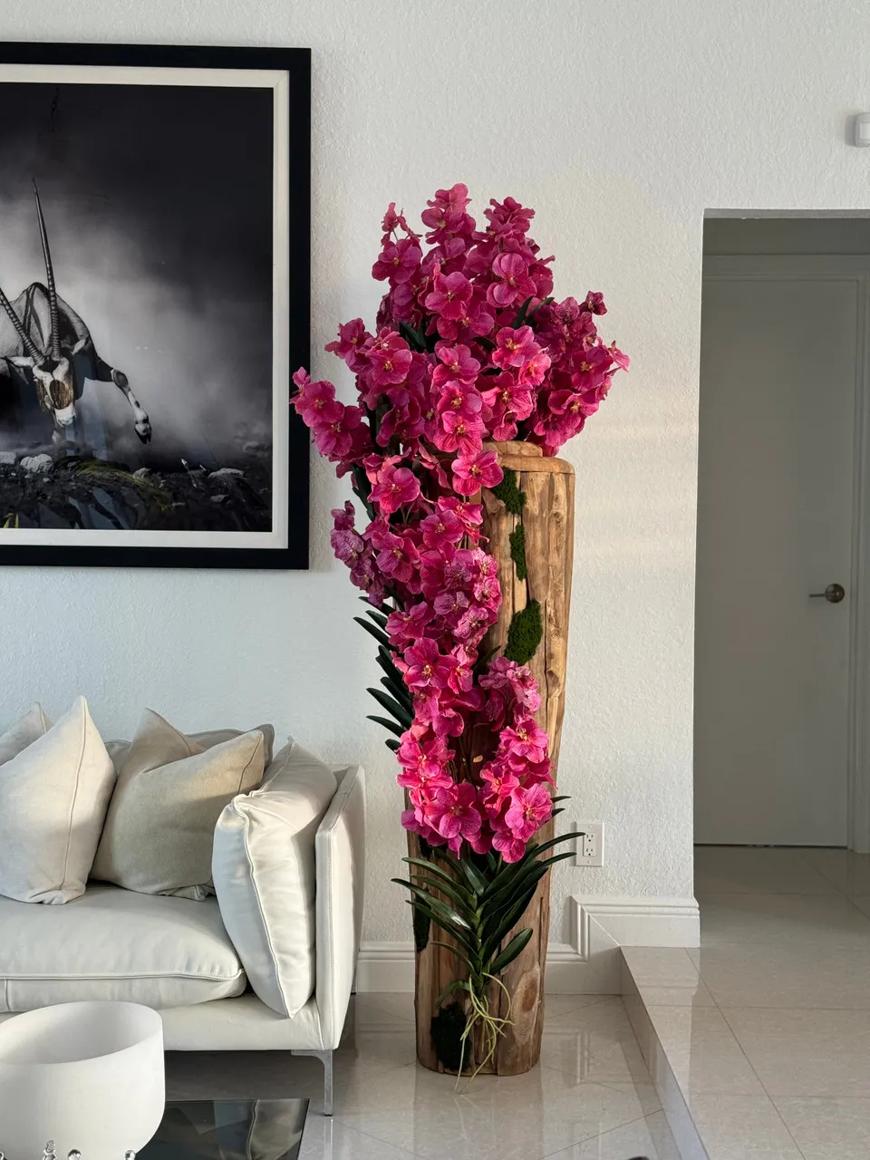 Large Live Edge Teak Vase with Pink Vanda Orchids ( With Flower Pots)