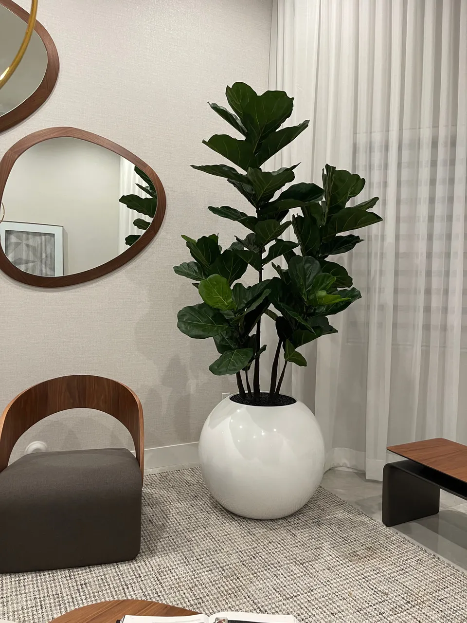 30″ Globe Planter with Fiddle Tree ( With Flower Pots)