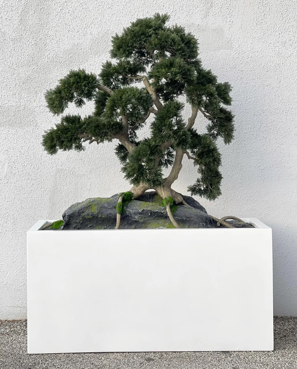 Rock embedded Bonsai with Block M Planter ( With Flower Pots)