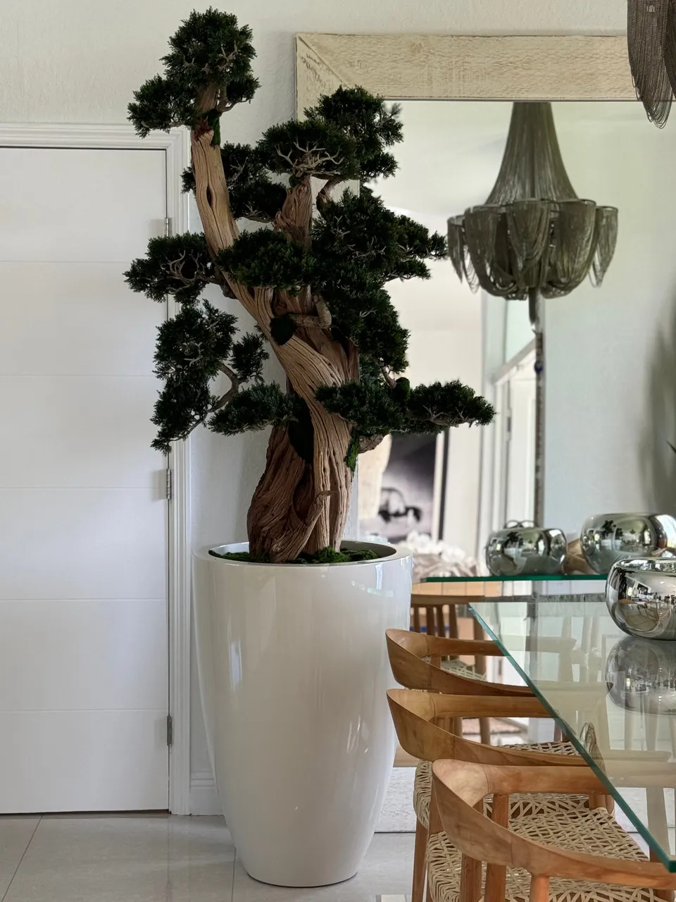 Oversized Bonsai in Brannan Planter ( With Flower Pots)
