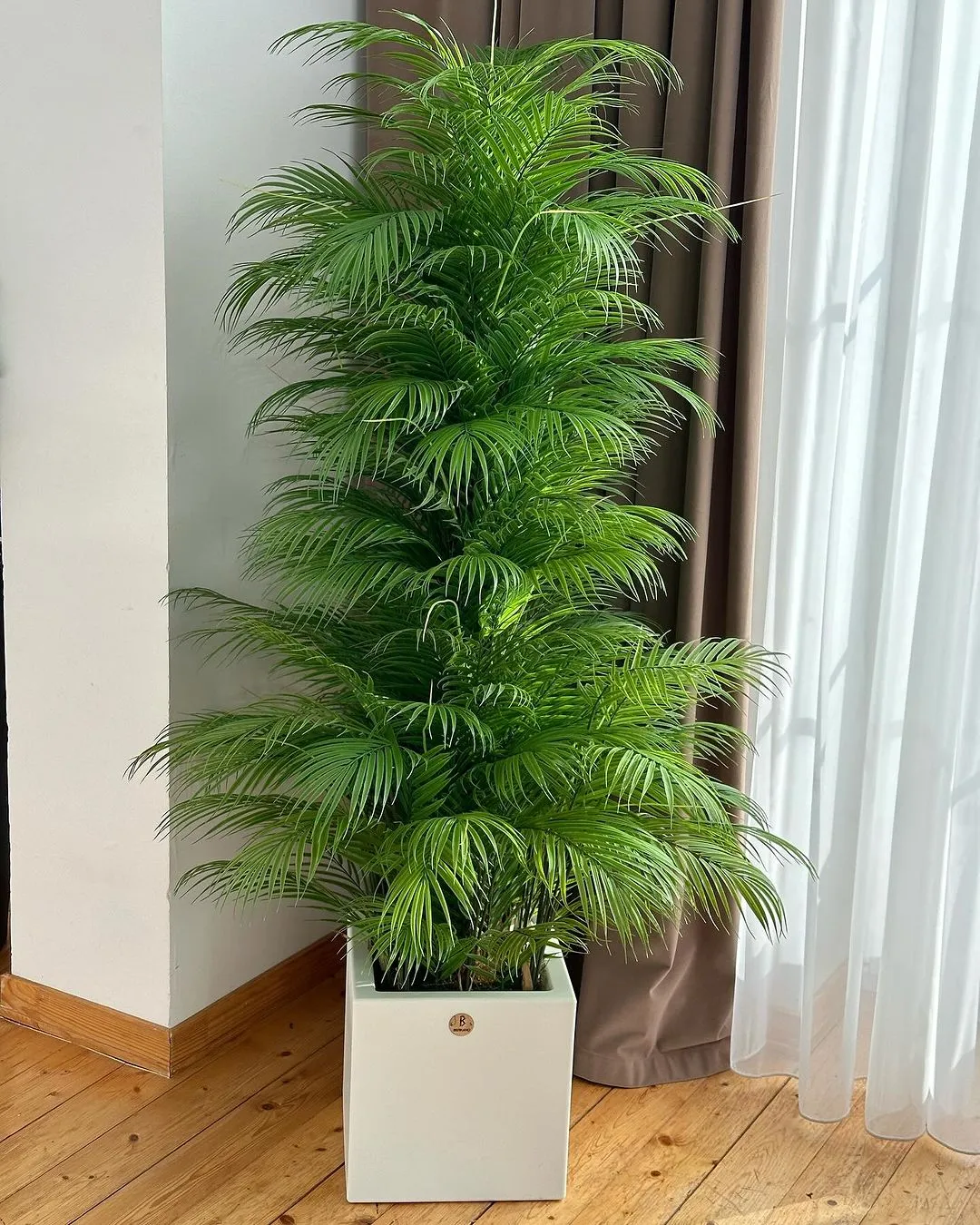 Indoor Artificial Plant( With Flower Pots)