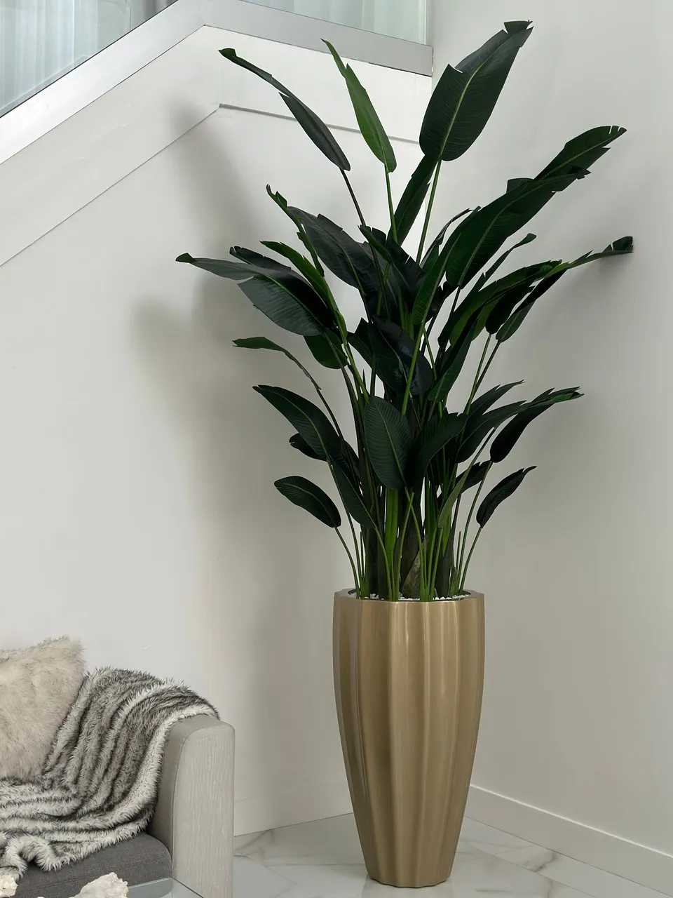 San Jose Fluted Planter in Champagne with Birds of Paradise ( With Flower Pots)