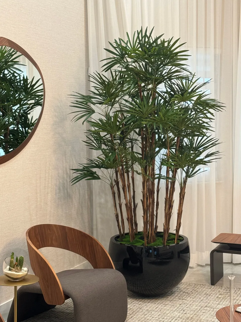 Black Terragona Planter with Lady Palm ( With Flower Pots)