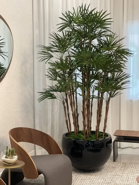 Black Terragona Planter with Lady Palm ( With Flower Pots)