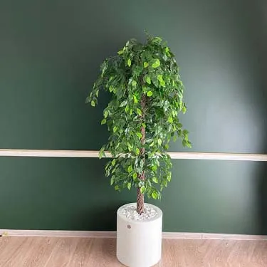 Indoor Artificial Plant( With Flower Pots)