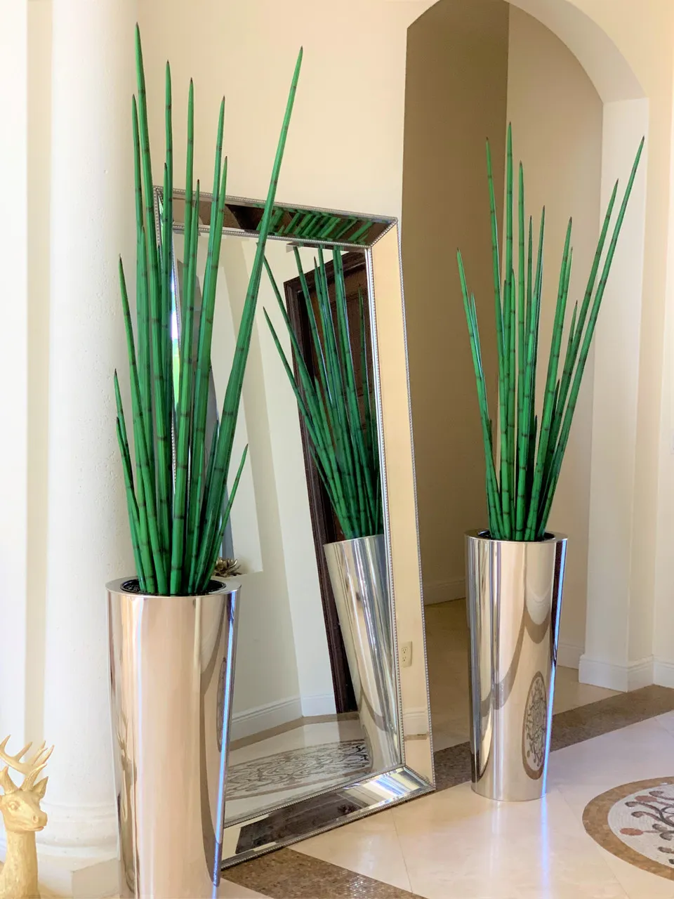 Polished Stainless Steel Large Cone with Large Snake Grass Plant ( With Flower Pots)