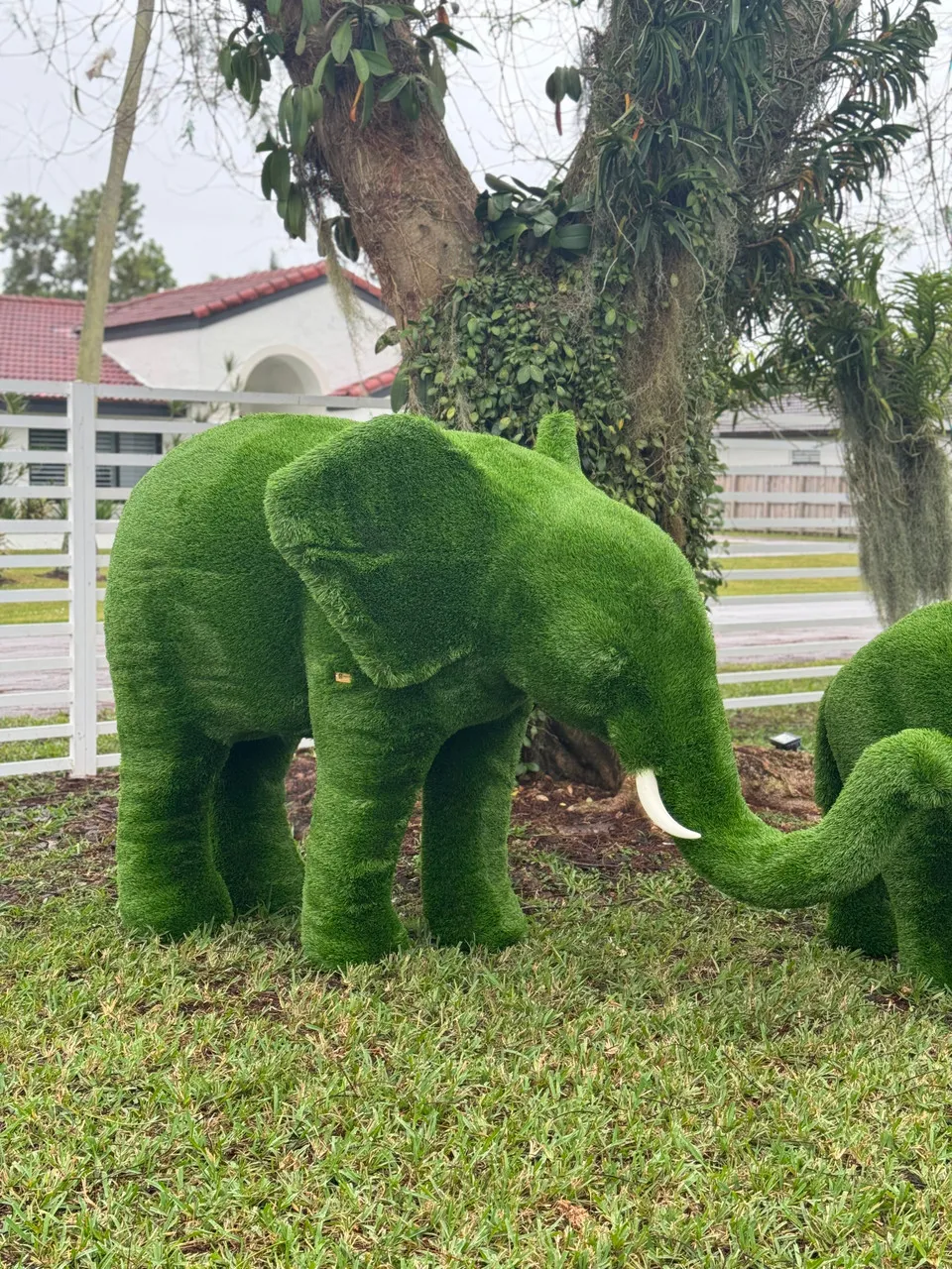 Medium Elephant