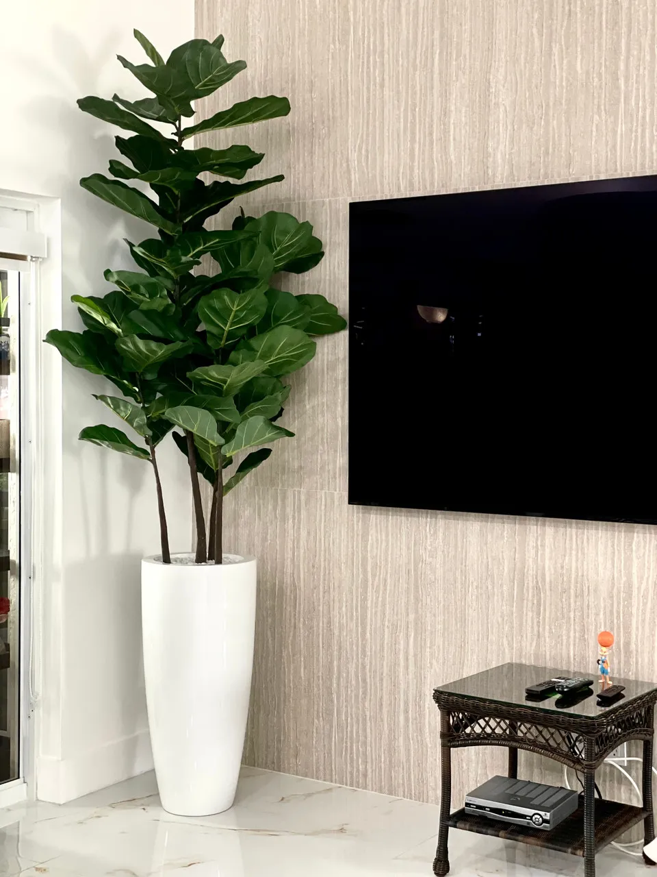 Fiddle Leaf Tree with Dax L Glossy White Fiberglass Planter ( With Flower Pots)