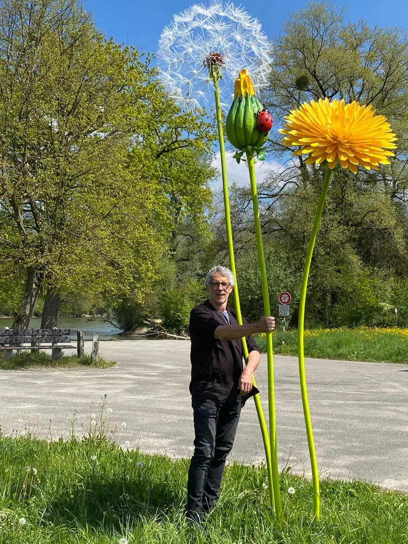 [Container Gardening]Dandelions XXL for the garden