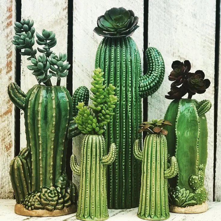 Simply Amazing Cactus