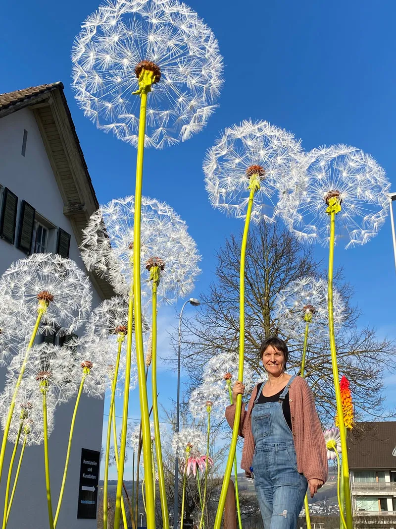 [Container Gardening]Dandelions XXL for the garden