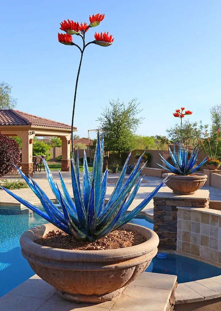 🔥Summer Sale 49% OFF 🎁 Tequila Agave Plant