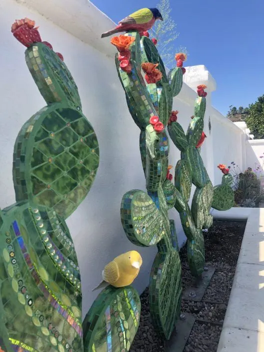 🔥Summer Sale 49% OFF 🎁cactus 3 set