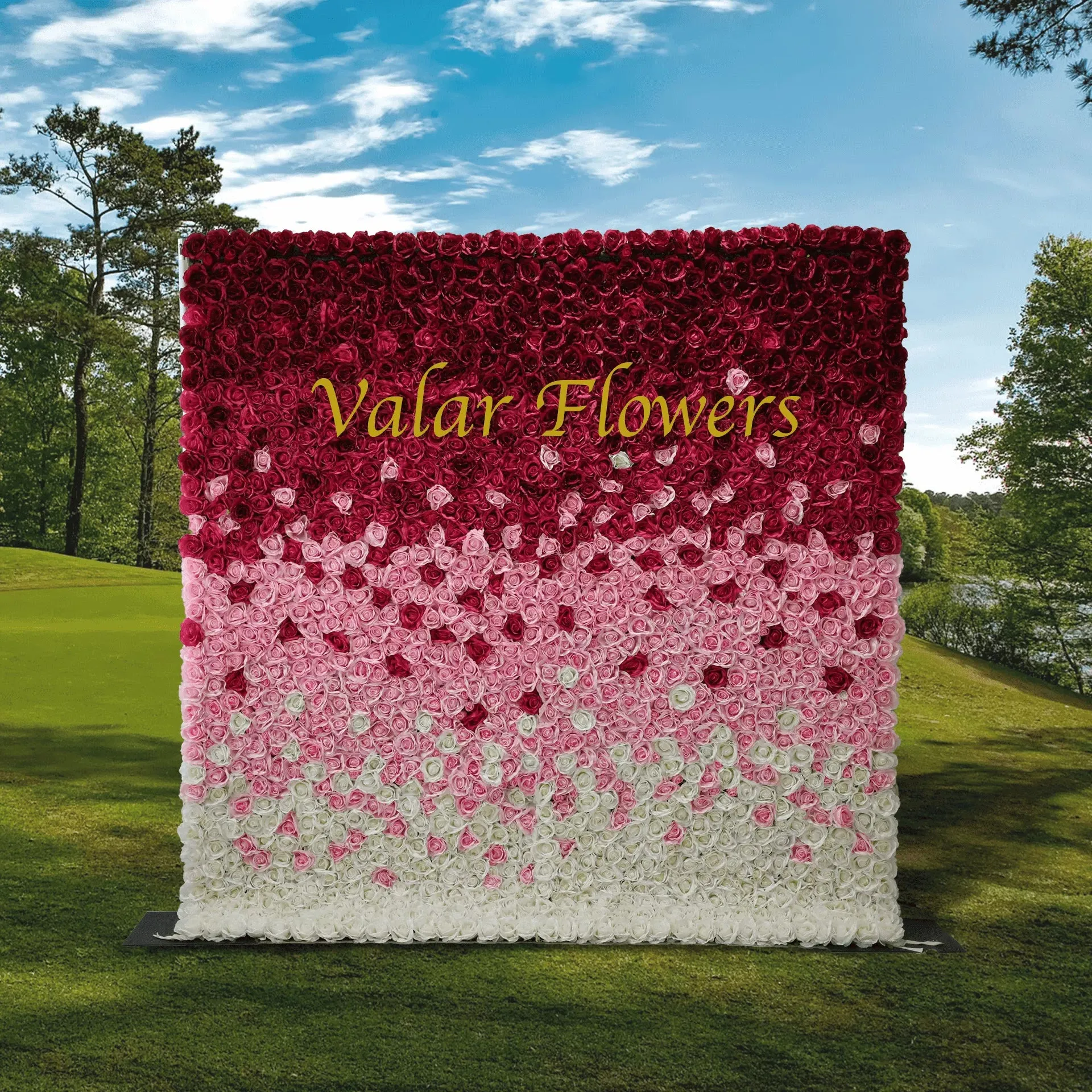 Roll Up Fabric Artificial Gradient Wine to White Flower Wall Wedding Backdrop, Floral Party Decor, Event Photography-VF-014
