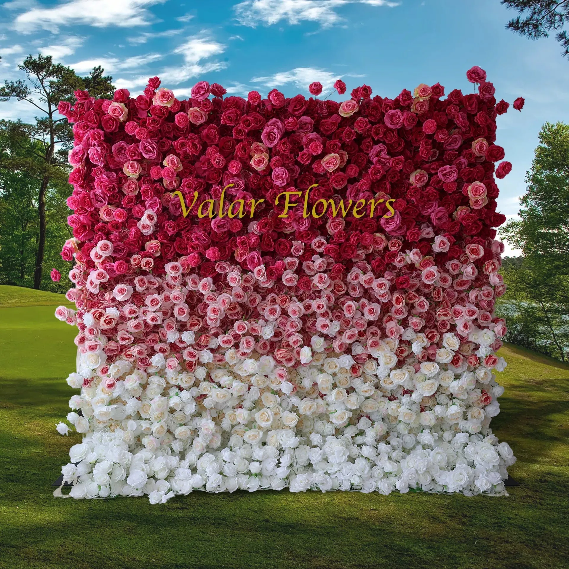 Roll Up Fabric Artificial Red to White Gradient Flower Wall Wedding Backdrop, Floral Party Decor, Event Photography-VF-372