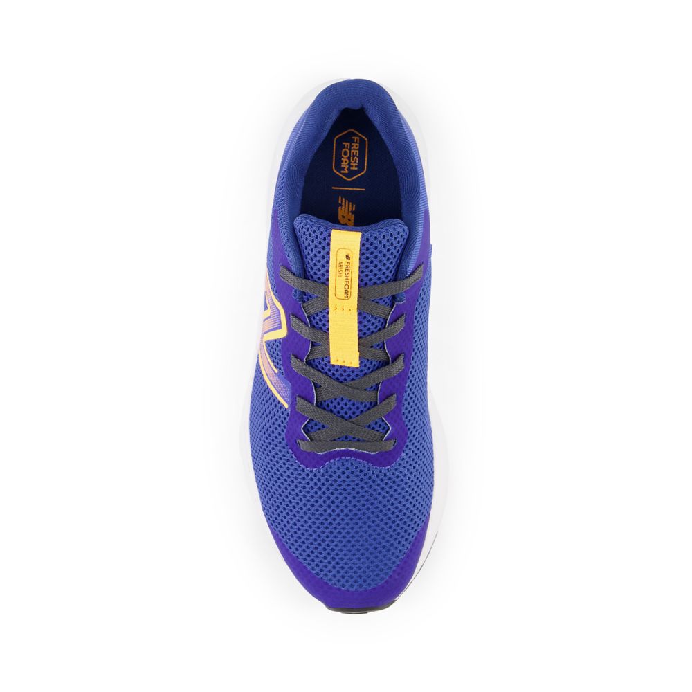 Fresh Foam Arishi v4