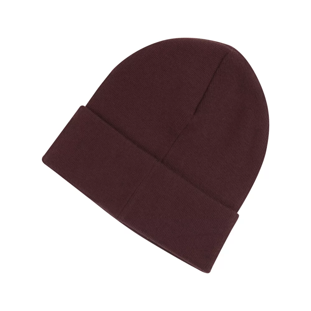 Cuffed Beanie Flying NB Logo