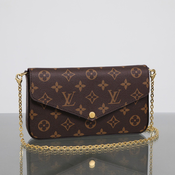 Louis Vuitton LV Félicie Pochette Bag